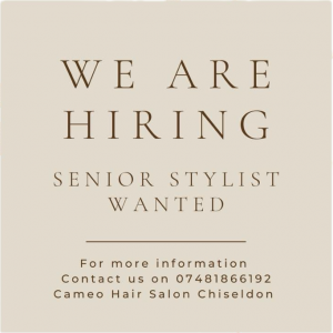 Cameo hair salon stylist vacancy